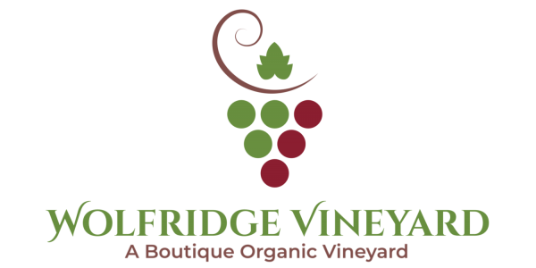 Wolfridge Vineyard